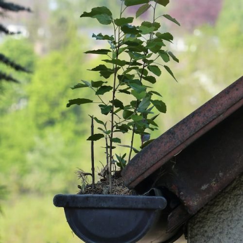 handy-andy-home-care-gutter-clearance handy-andy-home-care-gutter-clearance